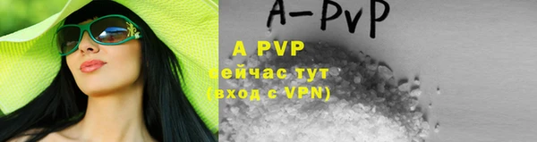 прущие крисы Киренск