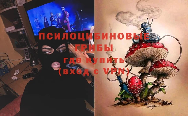 2c-b Козельск